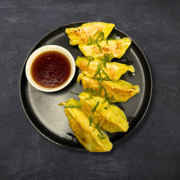 Pan Fried Gyoza Chicken