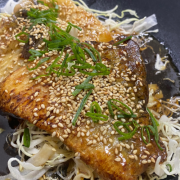 Teriyaki Barramundi (GFO)